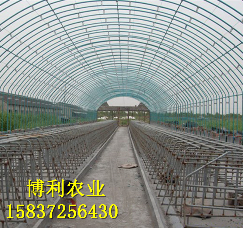 大棚蔬菜種植常見問(wèn)題詳解！